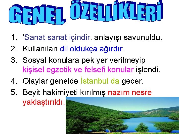 1. ‘Sanat sanat içindir. anlayışı savunuldu. 2. Kullanılan dil oldukça ağırdır. 3. Sosyal konulara