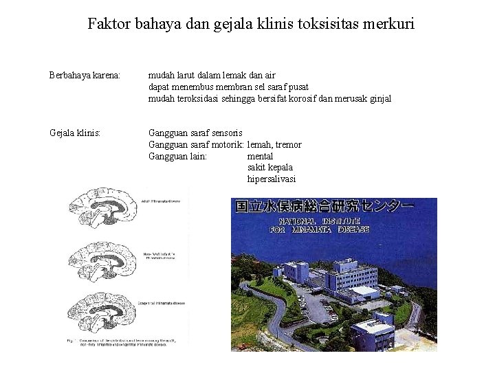 Faktor bahaya dan gejala klinis toksisitas merkuri Berbahaya karena: mudah larut dalam lemak dan