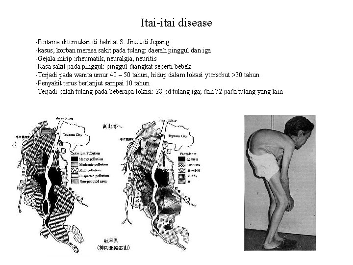 Itai-itai disease -Pertama ditemukan di habitat S. Jinzu di Jepang -kasus, korban merasa sakit
