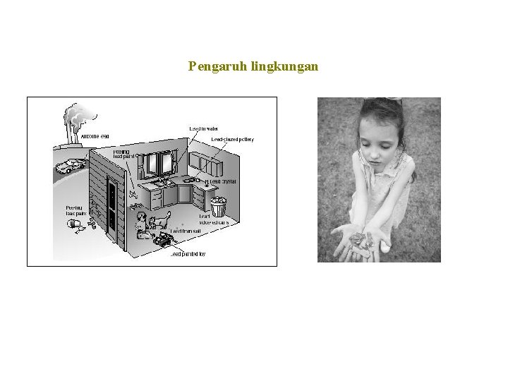 Pengaruh lingkungan 