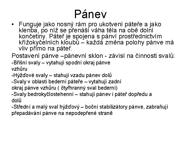 Pánev • Funguje jako nosný rám pro ukotvení páteře a jako klenba, po níž