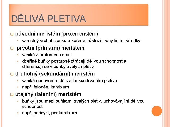 DĚLIVÁ PLETIVA q původní meristém (protomeristém) • q vzrostný vrchol stonku a kořene, růstové