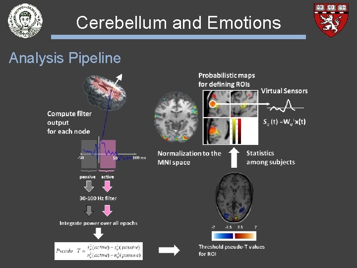 Cerebellum and Emotions Analysis Pipeline 