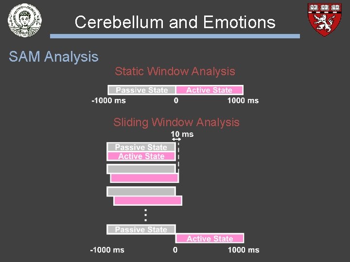 Cerebellum and Emotions SAM Analysis Static Window Analysis Sliding Window Analysis 