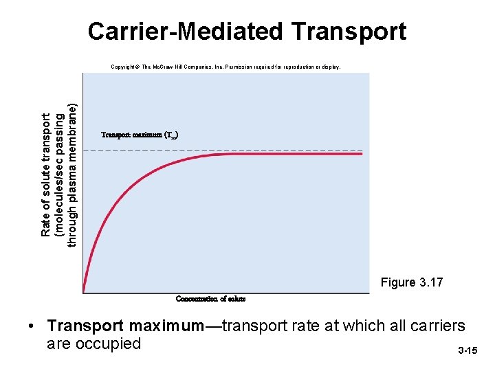 Carrier-Mediated Transport Rate of solute transport (molecules/sec passing through plasma membrane) Copyright © The