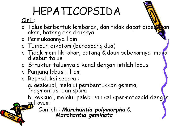 HEPATICOPSIDA Ciri : o Talus berbentuk lembaran, dan tidak dapat dibedakan akar, batang dan