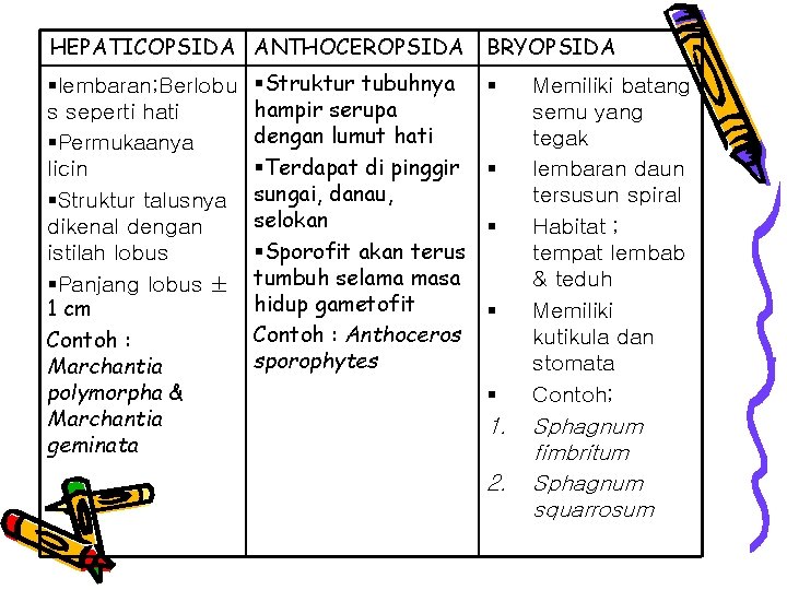 HEPATICOPSIDA ANTHOCEROPSIDA §lembaran; Berlobu s seperti hati §Permukaanya licin §Struktur talusnya dikenal dengan istilah