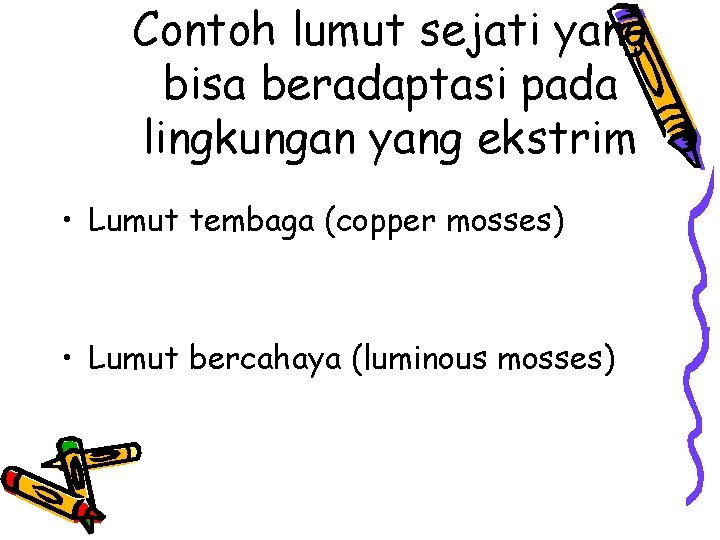 Contoh lumut sejati yang bisa beradaptasi pada lingkungan yang ekstrim • Lumut tembaga (copper