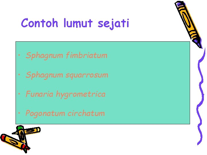 Contoh lumut sejati • Sphagnum fimbriatum • Sphagnum squarrosum • Funaria hygrometrica • Pogonatum