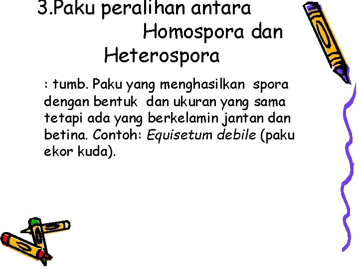 3. Paku peralihan antara Homospora dan Heterospora : tumb. Paku yang menghasilkan spora dengan