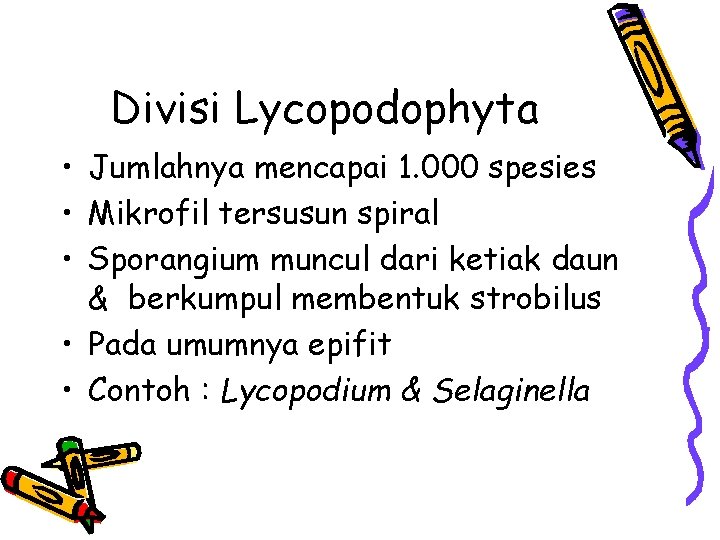 Divisi Lycopodophyta • Jumlahnya mencapai 1. 000 spesies • Mikrofil tersusun spiral • Sporangium
