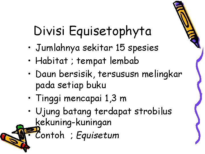Divisi Equisetophyta • Jumlahnya sekitar 15 spesies • Habitat ; tempat lembab • Daun