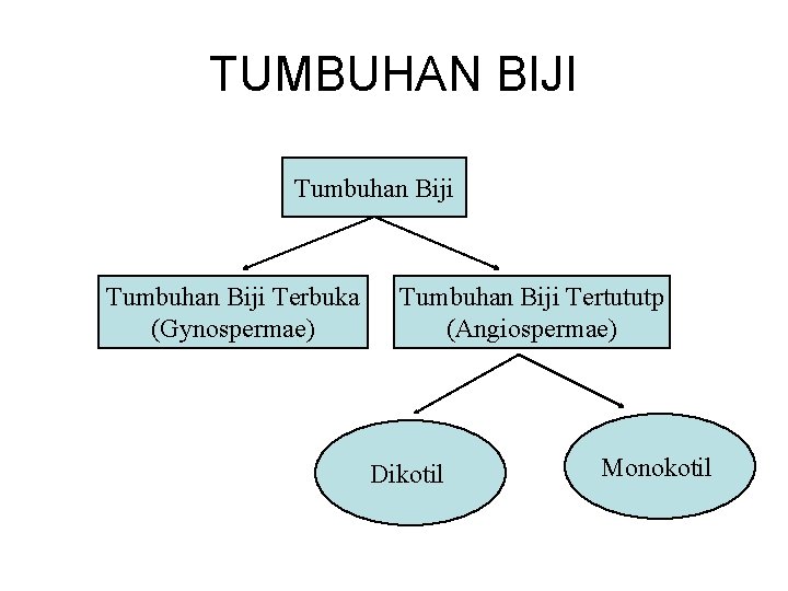 TUMBUHAN BIJI Tumbuhan Biji Terbuka (Gynospermae) Tumbuhan Biji Tertututp (Angiospermae) Dikotil Monokotil 