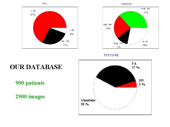 FA 37 % OUR DATABASE DN 5% 900 patients 2900 images Glandular 58 %