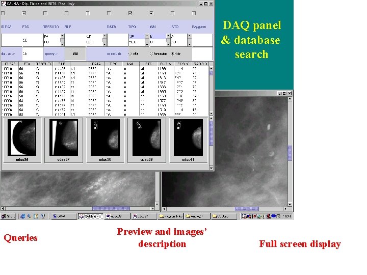 DAQ panel & database search Queries Preview and images’ description Full screen display 