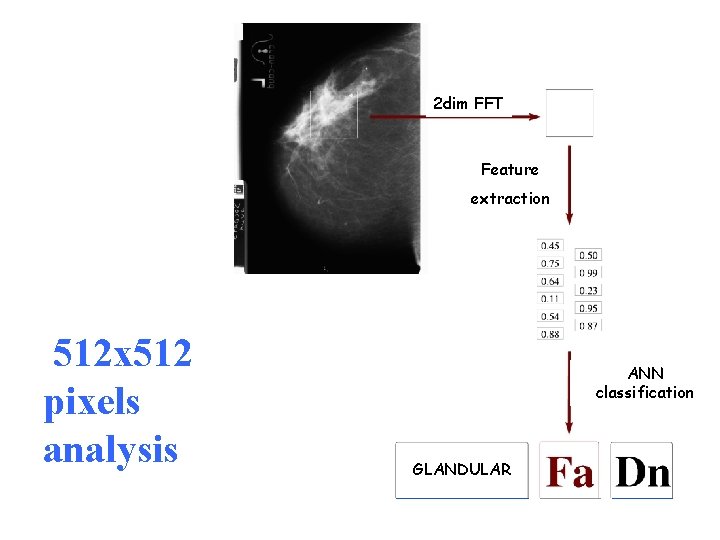 2 dim FFT Feature extraction 512 x 512 pixels analysis ANN classification GLANDULAR 