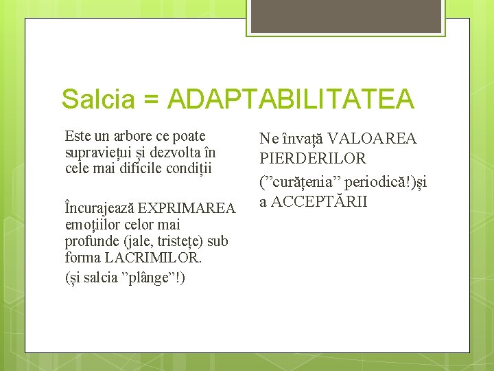 Salcia = ADAPTABILITATEA Este un arbore ce poate supraviețui și dezvolta în cele mai