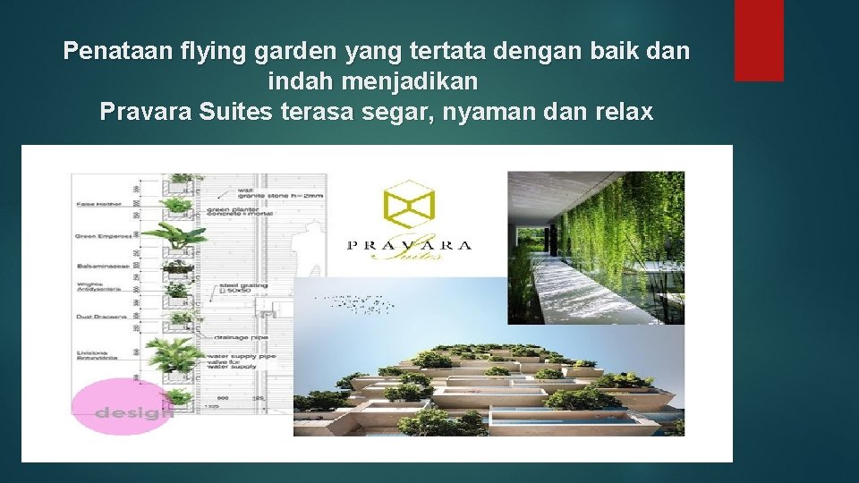 Penataan flying garden yang tertata dengan baik dan indah menjadikan Pravara Suites terasa segar,