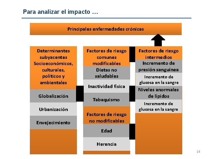 Para analizar el impacto … Principales enfermedades crónicas Determinantes subyacentes Socioeconómicos, culturales, políticos y