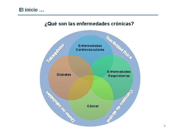 El inicio … Ta ba qu is m o ¿Qué son las enfermedades crónicas?