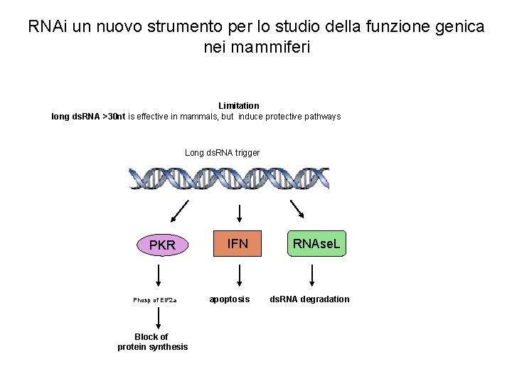 RNAi un nuovo strumento per lo studio della funzione genica nei mammiferi Limitation long