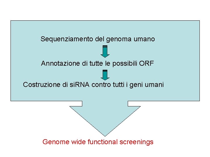 Sequenziamento del genoma umano ? Annotazione di tutte le possibili ORF Costruzione di si.