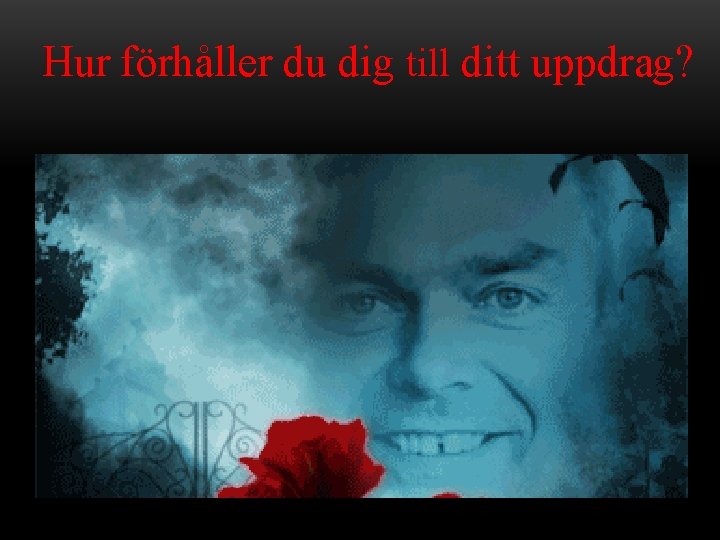 Hur förhåller du dig till ditt uppdrag? 