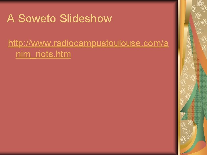 A Soweto Slideshow http: //www. radiocampustoulouse. com/a nim_riots. htm 