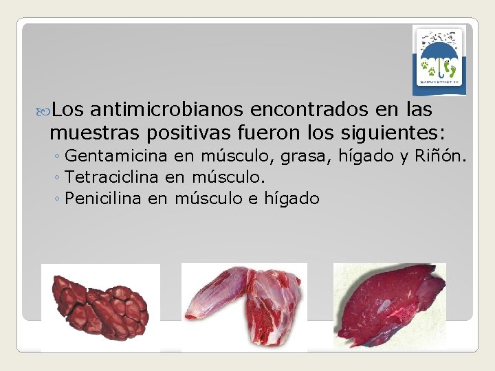  Los antimicrobianos encontrados en las muestras positivas fueron los siguientes: ◦ Gentamicina en