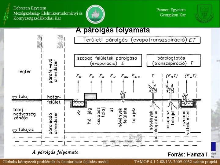 A párolgás folyamata Forrás: Hamza I. 