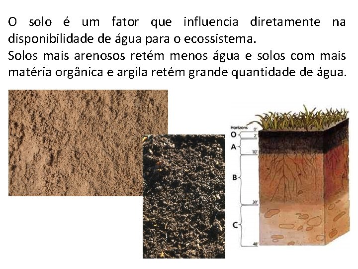 O solo é um fator que influencia diretamente na disponibilidade de água para o