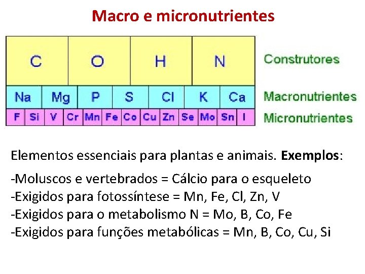 Macro e micronutrientes Elementos essenciais para plantas e animais. Exemplos: -Moluscos e vertebrados =