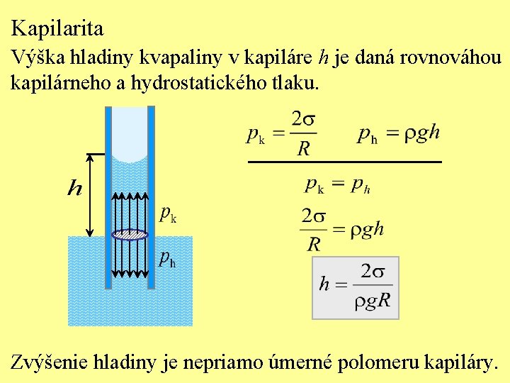 Kapilarita Výška hladiny kvapaliny v kapiláre h je daná rovnováhou kapilárneho a hydrostatického tlaku.