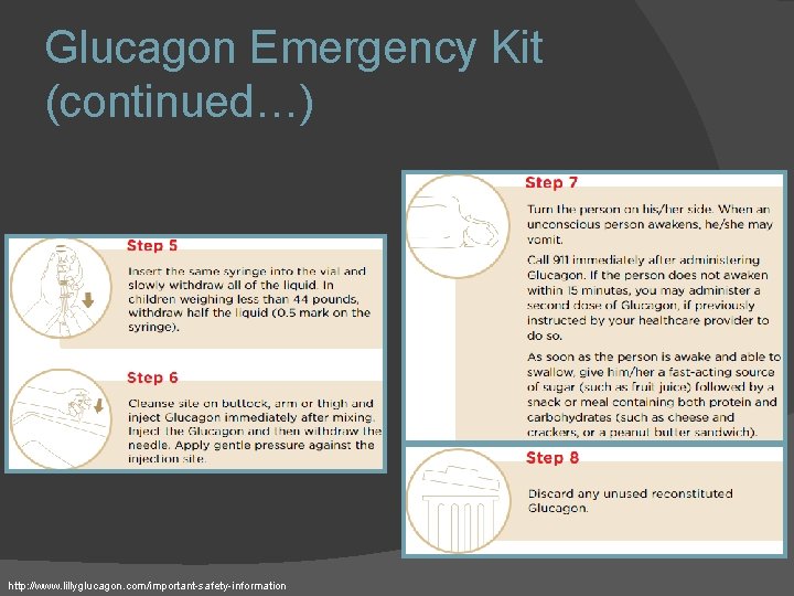 Glucagon Emergency Kit (continued…) http: //www. lillyglucagon. com/important-safety-information 