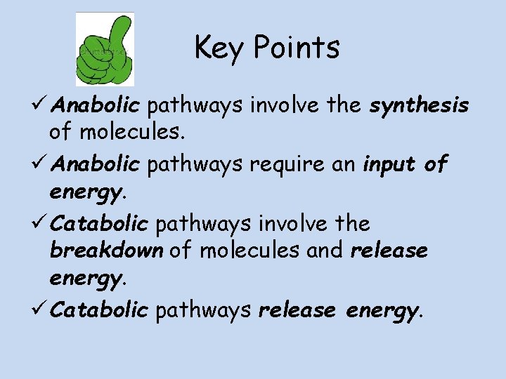 Key Points ü Anabolic pathways involve the synthesis of molecules. ü Anabolic pathways require