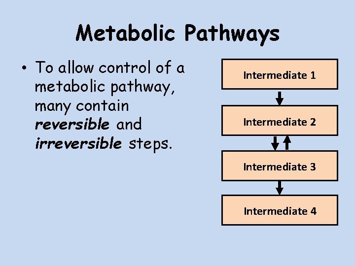 Metabolic Pathways • To allow control of a metabolic pathway, many contain reversible and