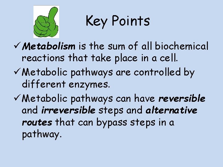 Key Points ü Metabolism is the sum of all biochemical reactions that take place