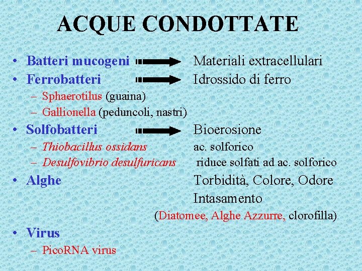 ACQUE CONDOTTATE • Batteri mucogeni • Ferrobatteri Materiali extracellulari Idrossido di ferro – Sphaerotilus