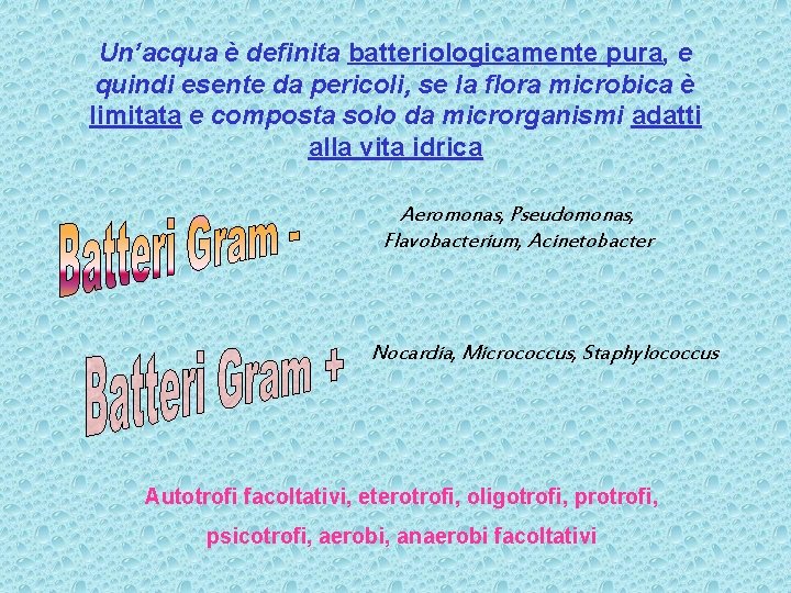 Un’acqua è definita batteriologicamente pura, e quindi esente da pericoli, se la flora microbica