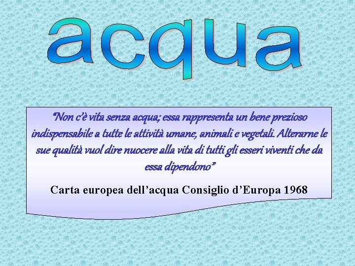 “Non c’è vita senza acqua; essa rappresenta un bene prezioso indispensabile a tutte le