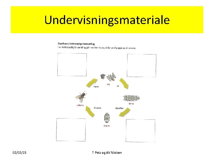 Undervisningsmateriale 02/02/15 T Petz og AV Nielsen 