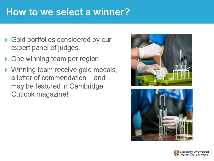 How to we select a winner? Gold portfolios considered by our expert panel of