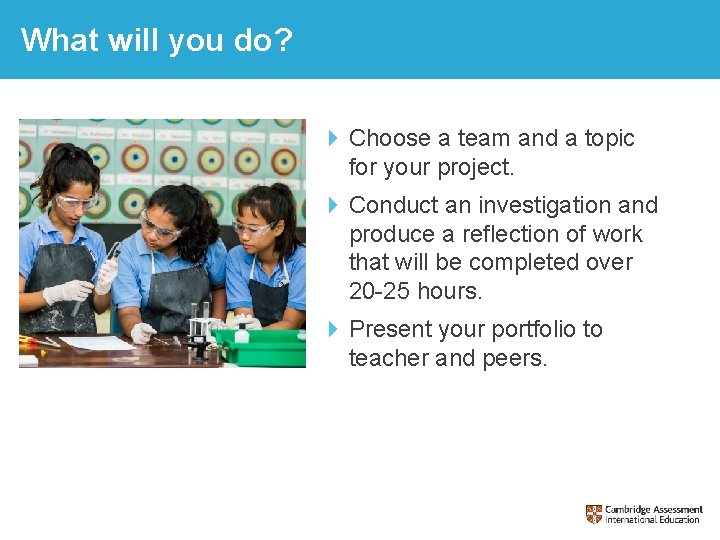 What will you do? Choose a team and a topic for your project. Conduct