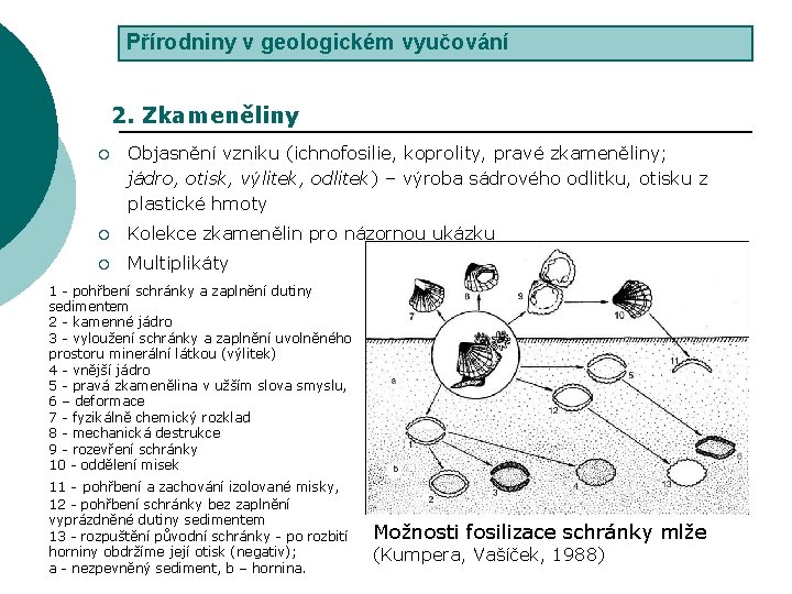 Přírodniny v geologickém vyučování 2. Zkameněliny ¡ Objasnění vzniku (ichnofosilie, koprolity, pravé zkameněliny; jádro,