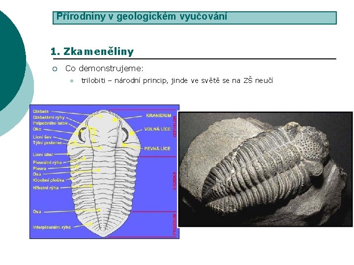 Přírodniny v geologickém vyučování 1. Zkameněliny ¡ Co demonstrujeme: l trilobiti – národní princip,