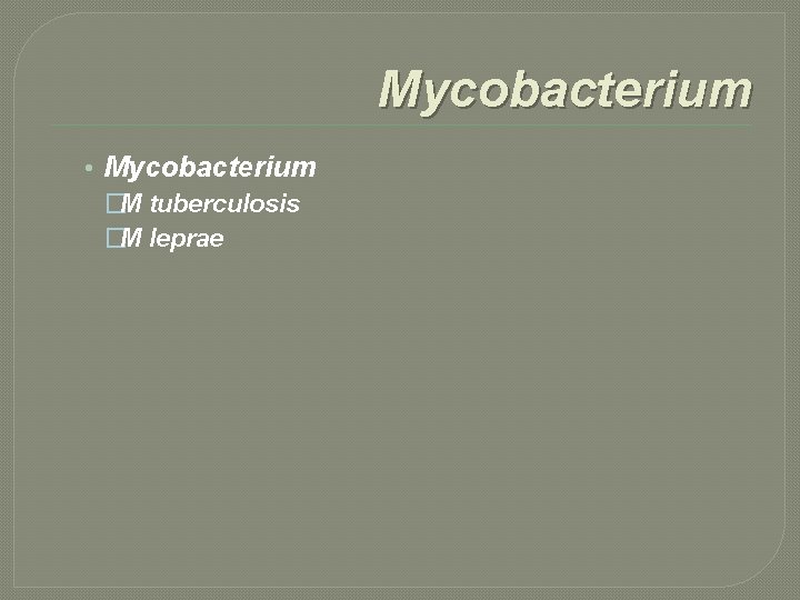 Mycobacterium • Mycobacterium �M tuberculosis �M leprae 