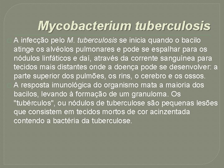 Mycobacterium tuberculosis A infecção pelo M. tuberculosis se inicia quando o bacilo atinge os