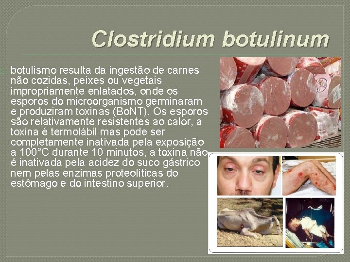 � Clostridium botulinum botulismo resulta da ingestão de carnes não cozidas, peixes ou vegetais