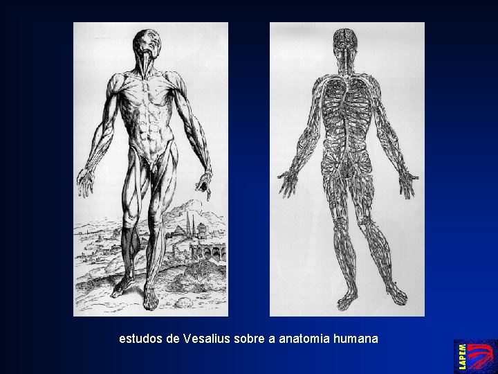 estudos de Vesalius sobre a anatomia humana 