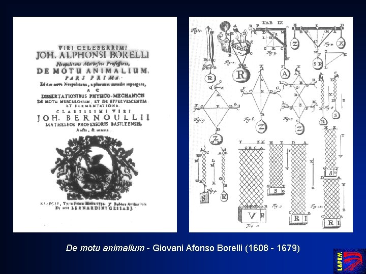 De motu animalium - Giovani Afonso Borelli (1608 - 1679) 